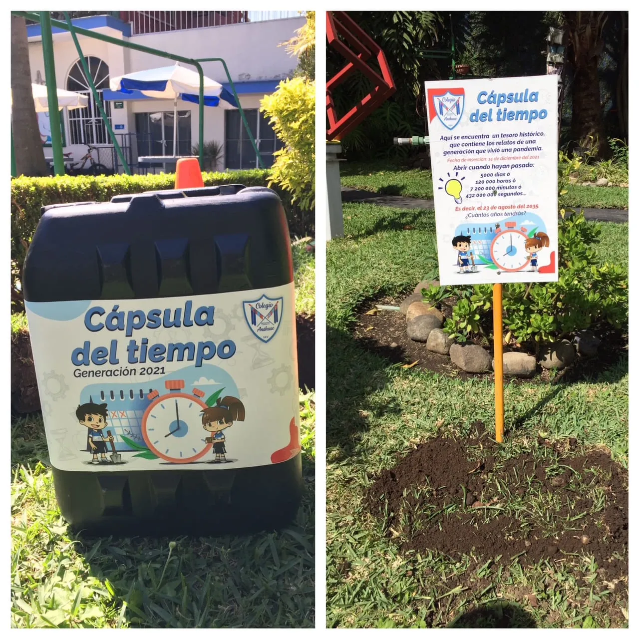 Cápsula Final