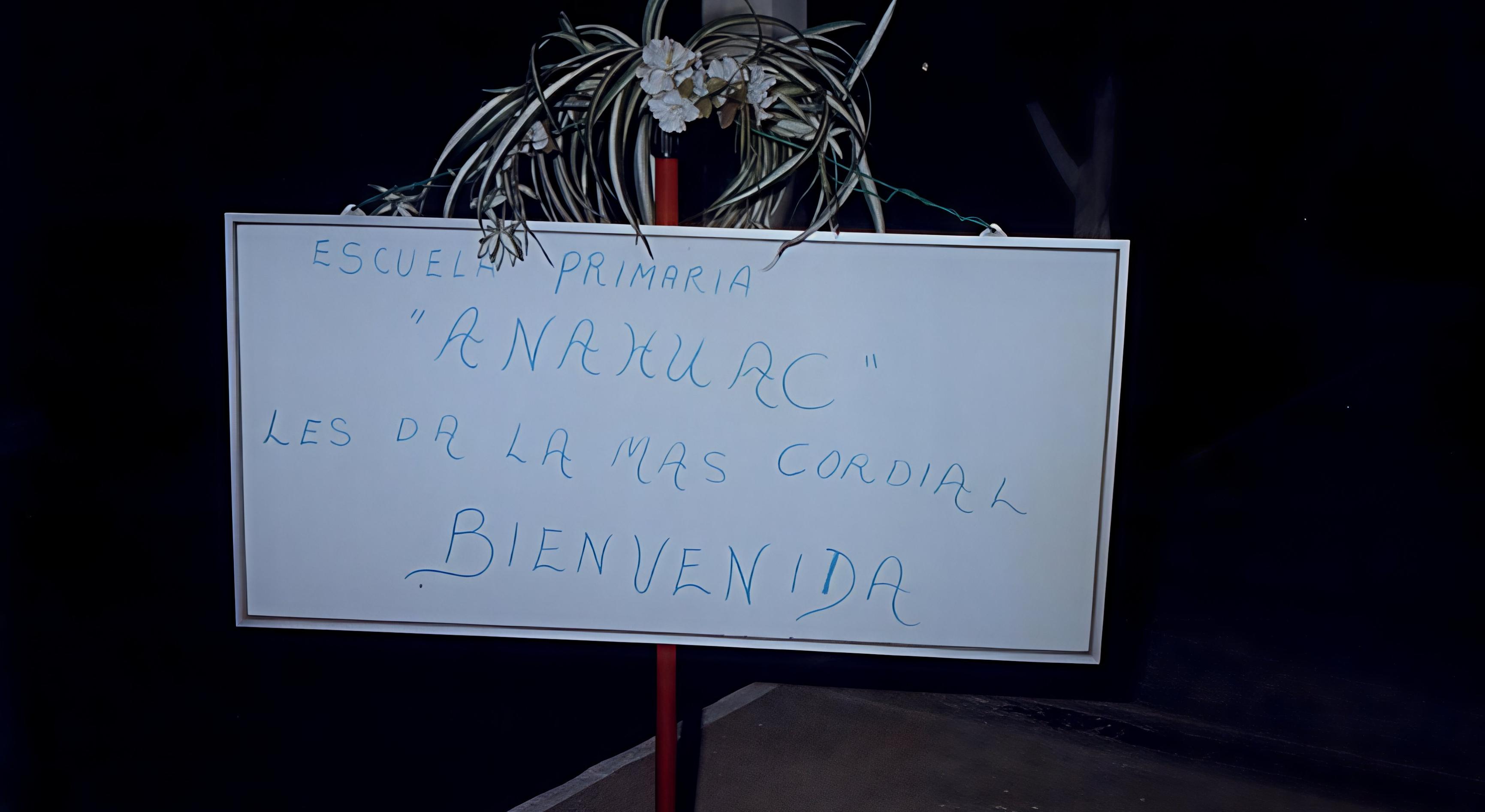 Vista del plantel Colegio Anáhuac Orizaba