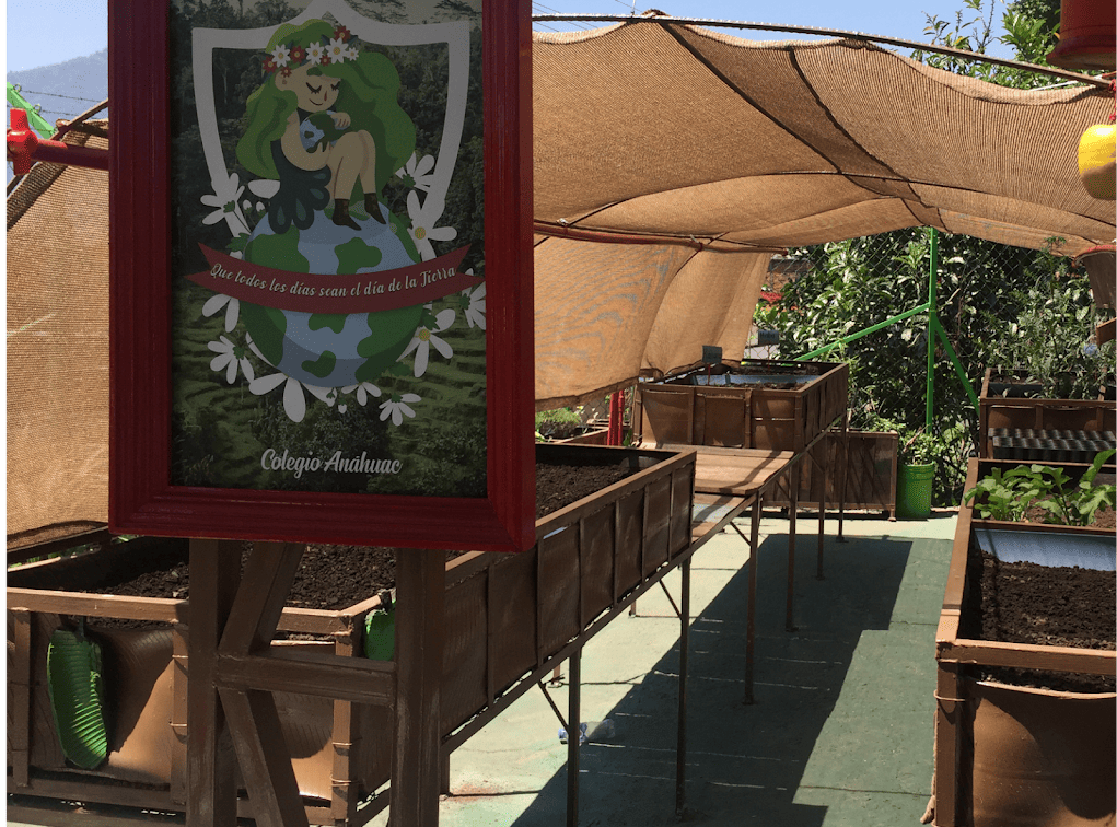azotea verde