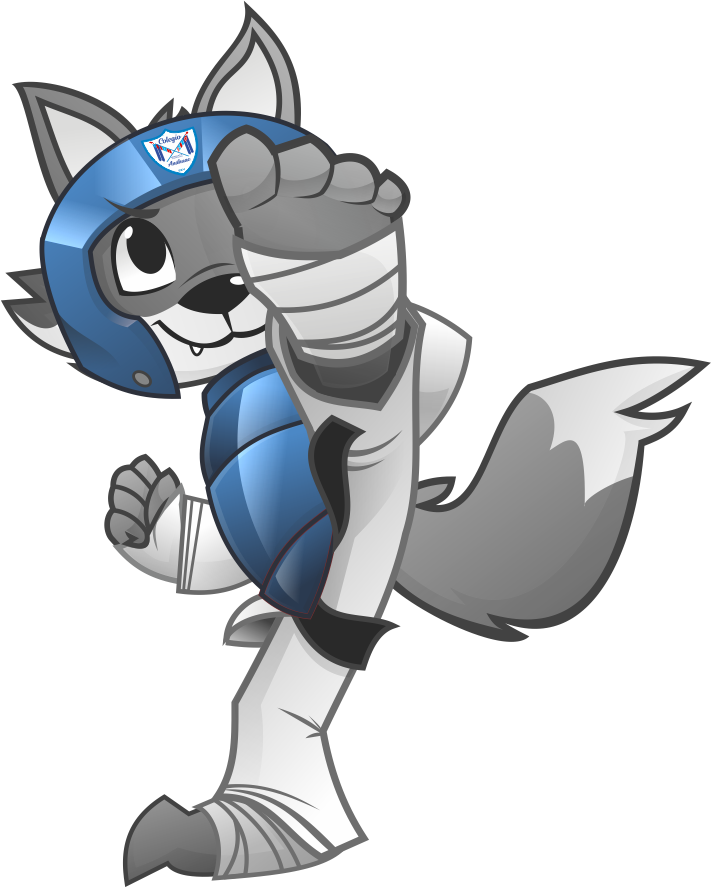 Lobox taekwondo